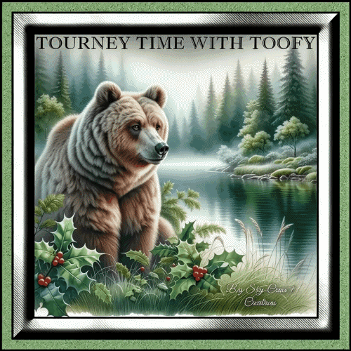 Css Color For Border NewWinterSixteen